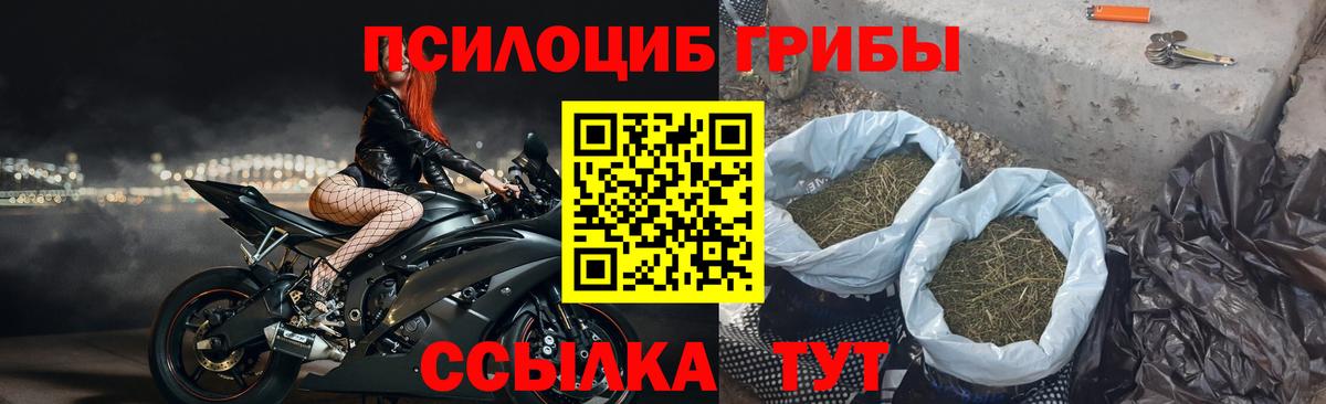 Благовещенск  Галлюциногенные грибы прущие грибы  Псилоцибиновые грибы прущие грибы  Вход с VPN 